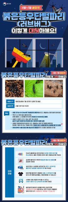 러브버그 대처요령 안내문./환경부