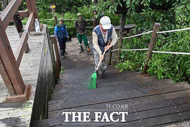 관계자들이 러브버그의 사체를 청소하고 있다.