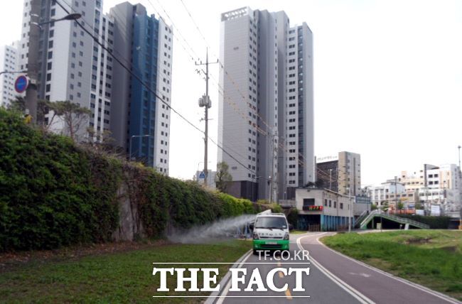 광명시가 러브버그 방역 작업에 나섰다./광명시