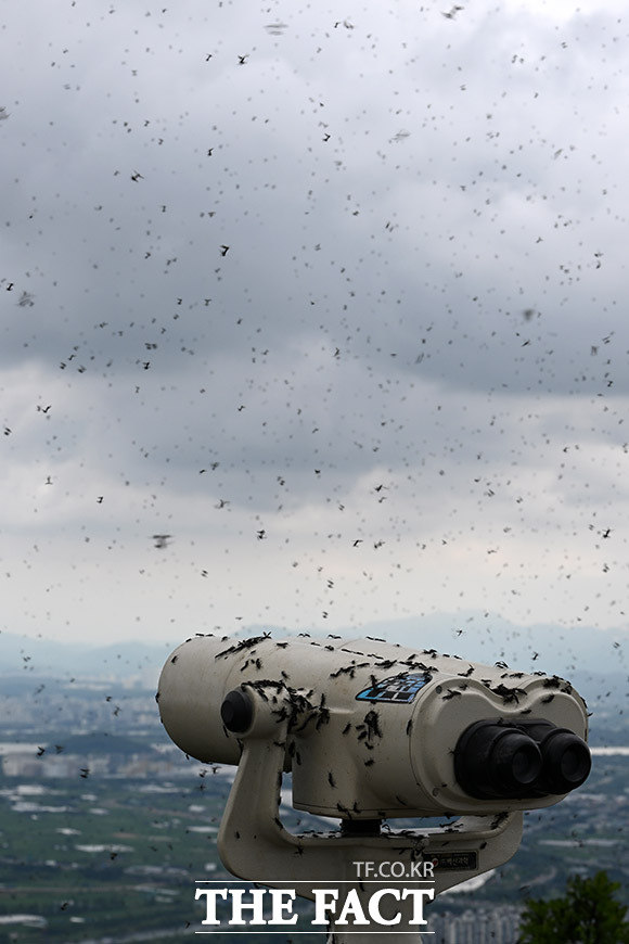 방역에도 줄어들지 않고,