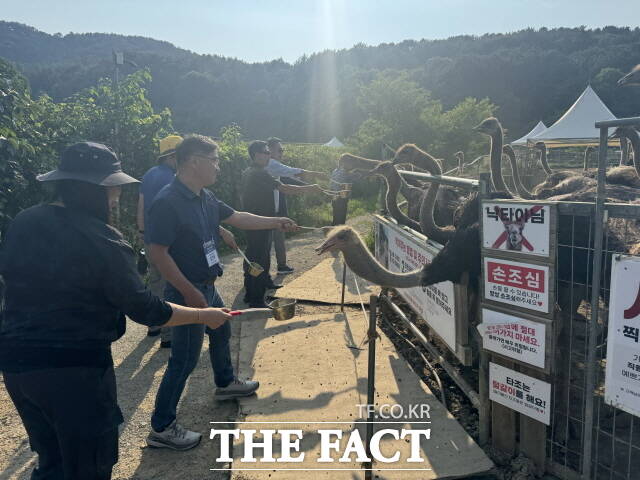 광양시관광협의회 회원들이 공룡타조랜드를 찾아 타조에게 직접 먹이를 주는 체험을 하고 있다. /김은광 기자