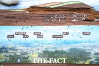  계양산 점령한 러브버그 [포토]