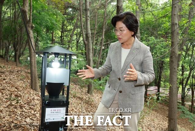 서울 은평구는 러브버그(붉은등우단털파리)로 인한 주민 불편을 해소하고자, 비화학적 친환경 방제를 집중적으로 시행하고 있다고 1일 밝혔다./은평구