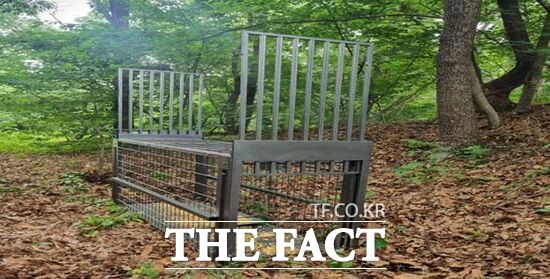 경기 파주시가 최근 비무장지대(DMZ) 내 대성동 마을에 추가로 설치한 멧돼지 포획틀의 모습./파주시