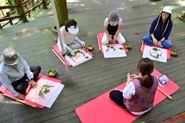 무안군 치유의 숲 활동에 참여 중인 군민들의 모습./무안군