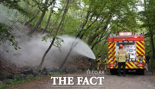 서울시가 붉은등우단털파리 일명 러브버그에 대한 약품 사용 없는 친환경적 방제에 나섰다./서울시
