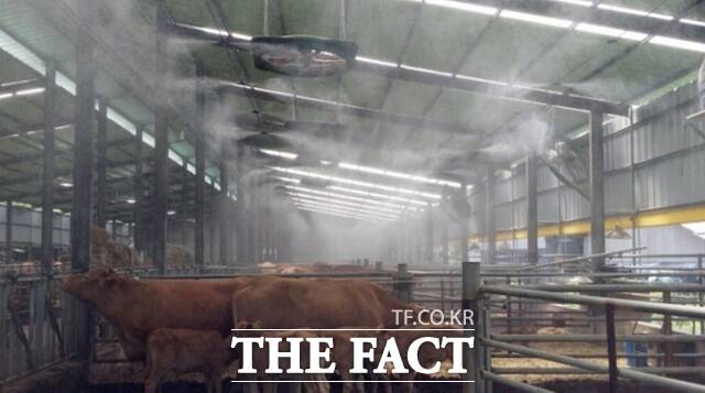 전남도가 가축 피해 예방활동을 하고 있다. /전남도