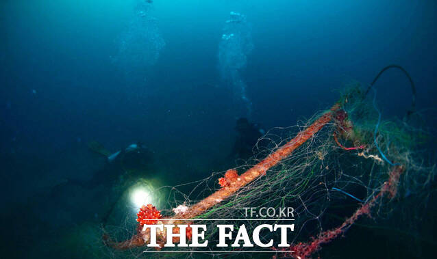 어업잠수사. /뉴시스