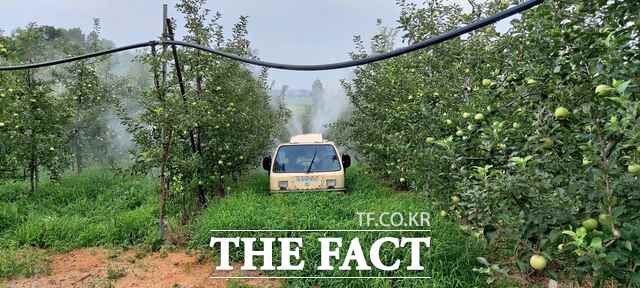 당진시 과수화상병 약제 살포 장면. /당진시