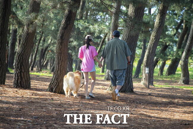 반려동물과 함께 화성궁평오솔로파크를 방문한 관광객./경기관광공사