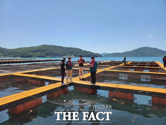 가두리양식장 고수온 점검 모습 /경남도