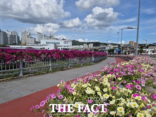 도심 교량 난간에 조성된 꽃화분 모습 /대전 동구
