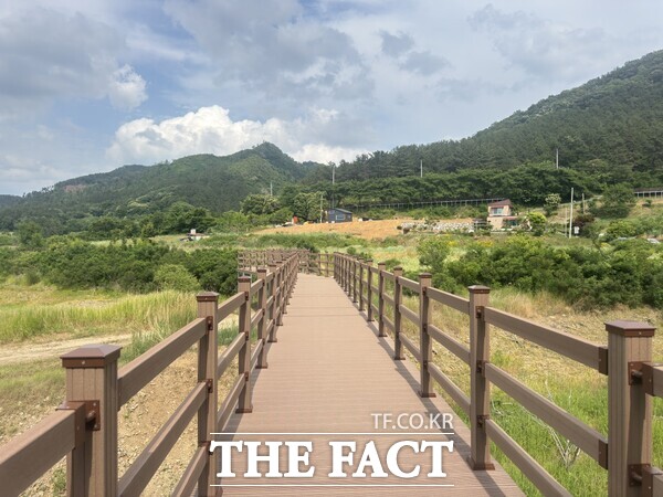 새롭게 조성된 신촌누리길 전경 /대전 동구