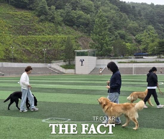 경기 남양주시가 지난달 18일부터 지난 4일까지 진행한 펫시터 전문가 과정 1기에 참가한 수강생들이 야외 교육을 받고 있다./남양주시