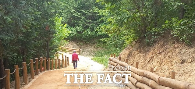 예산군 봉대미숲 황톳길 전경. /예산군.