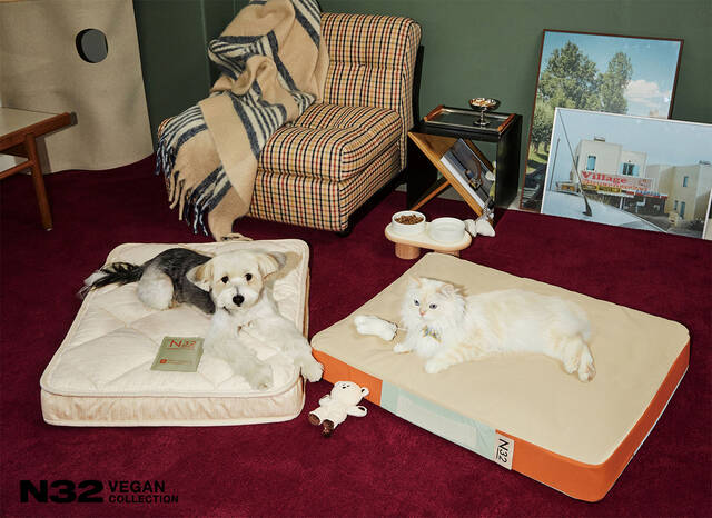 여행업계 펫캉스 수요가 늘어나면서 반려동물 전용 침대 시몬스 N32 쪼꼬미가 특급호텔을 중심으로 인지도를 키우고 있다. /시몬스