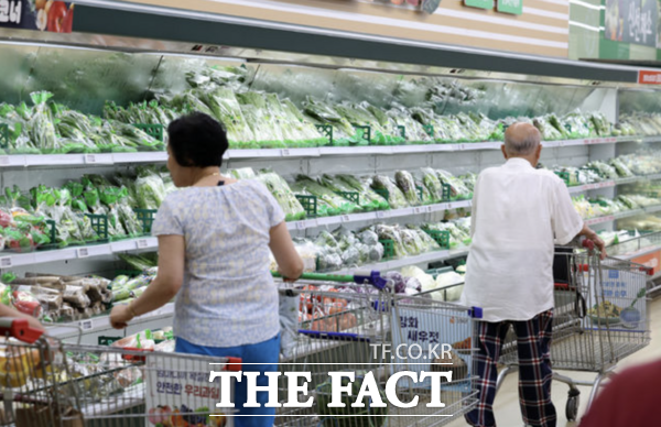 대형마트 업계가 초저가를 키워드로 대규모 할인전에 나서고 있다. 사진은 서울 시내 한 대형마트에서 장을 보는 소비자들의 모습. /뉴시스