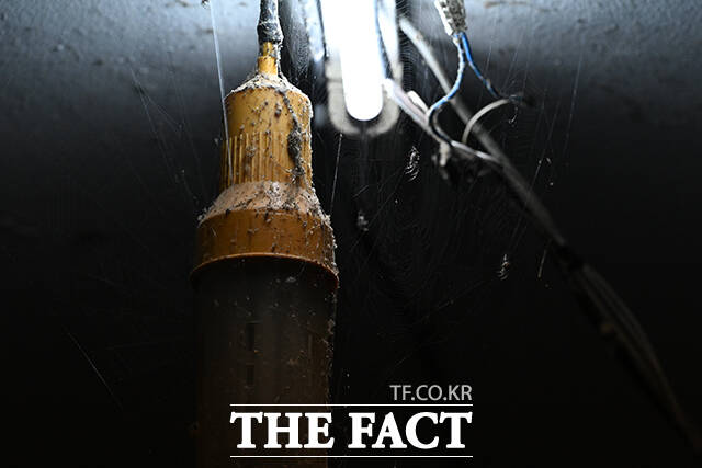 천장 곳곳에 거미줄이 쳐져 있다.