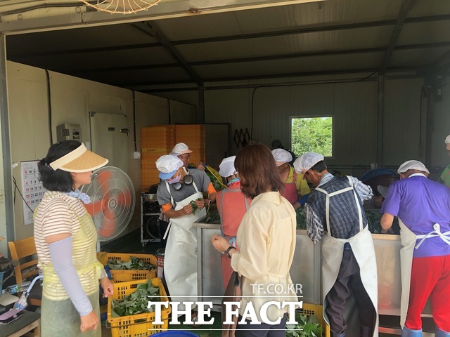 영광군이 자활근로 참여자의 안전한 작업환경을 위해 현장점검을 실시하고 있다./영광군