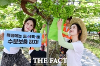  대학생 농촌봉사 음료지원 나선 토레타 [포토]