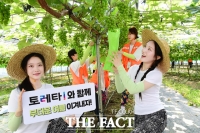  '토레타와 함께 무더운 여름 이겨내요!' [포토]