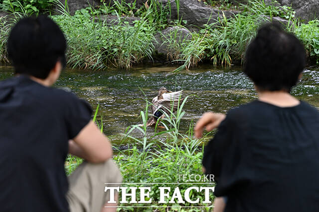 토요일인 12일 아침 최저기온은 19~25도, 낮 최고기온은 27~36도의 분포를 보이겠다. /서예원 기자