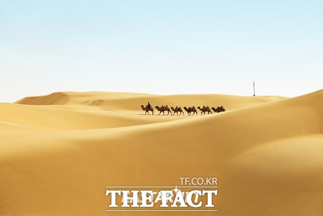 이스타항공이 11일부터 오는 9월 15일까지 주 2회 부산-오르도스 부정기편 전세기를 운항한다고 밝혔다. 오르도스 이미지. /이스타항공