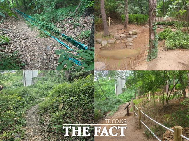 안양 골안공원 청개구리 습지 및 호랑나비초화원 시공 전(왼쪽)후 모습./안양시