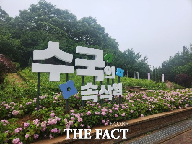 부천 도당공원 수국동산 입구. /부천시