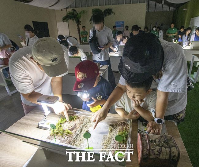 에버랜드 여름방학 동물 탐험 한여름 밤의 반딧불이 체험/에버랜드