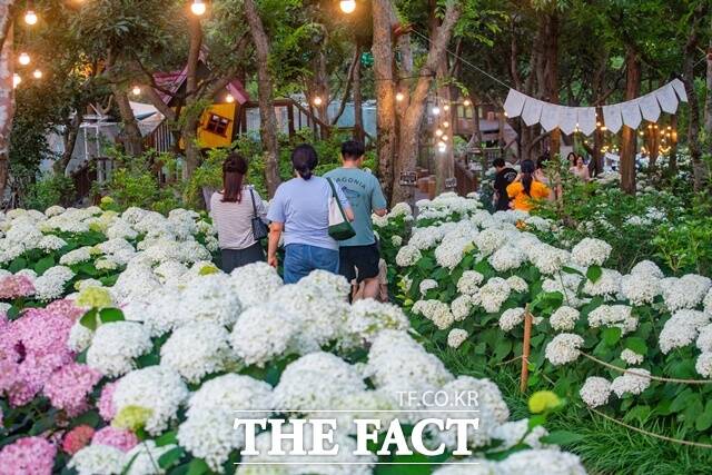 진주시가 정원문화사업 로드맵을 단계적으로 추진할 계획이다. /진주시