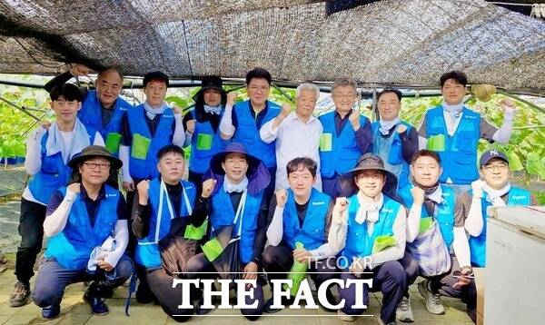 농협대전본부와 대전진잠농협 임직원들이 14일 대전 서구 용계동 소재 샤인머스켓 포도 재배 농가를 찾아 농촌일손돕기를 펼쳤다./농협대전본부