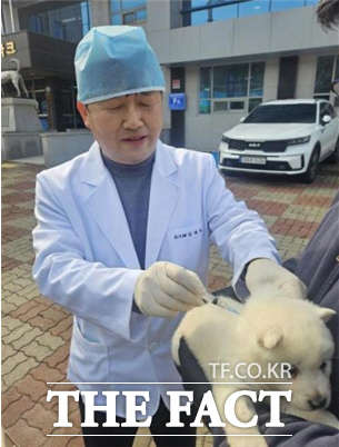 진도군이 진도개 방문 진료 사업을 실시하고 있다./진도군