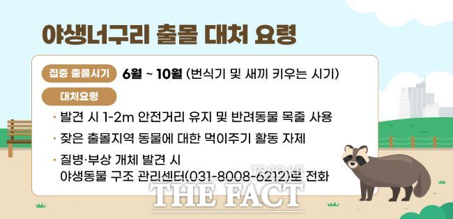 야생너구리 출몰 주의 안내문. /안양시