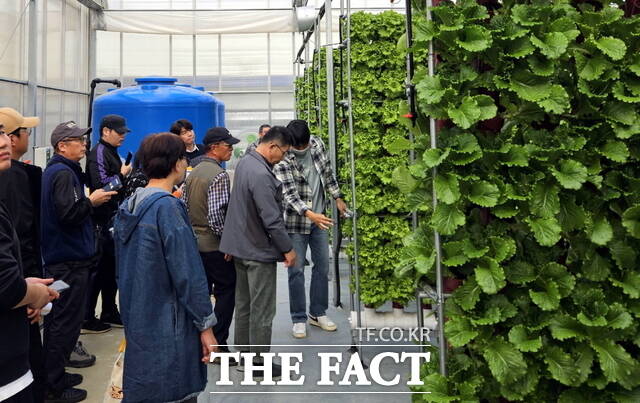 전국 최초 수직형 쌈채소 재배 시스템을 벤치마킹 참가자들이 배우고 있다. /아산시