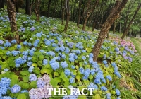  부천시 