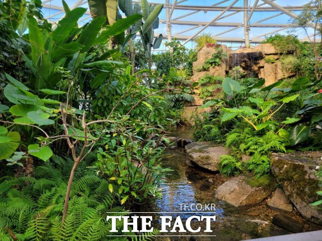 부천호수식물원 수피아 내부 공간 모습 /부천시