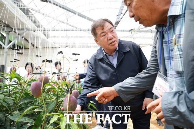 이승화 산청군수가 신소득 작물 애플망고 농가를 찾아 주민과 대화를 나누고 있다. /산청군