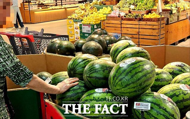 서울의 한 마트 과일 코너에서 한 소비자가 매대에 진열된 수박 상품을 살펴보고 있다. /더팩트DB