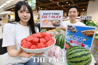  초복 앞두고 '이마트 역대급 할인 행사' [포토]