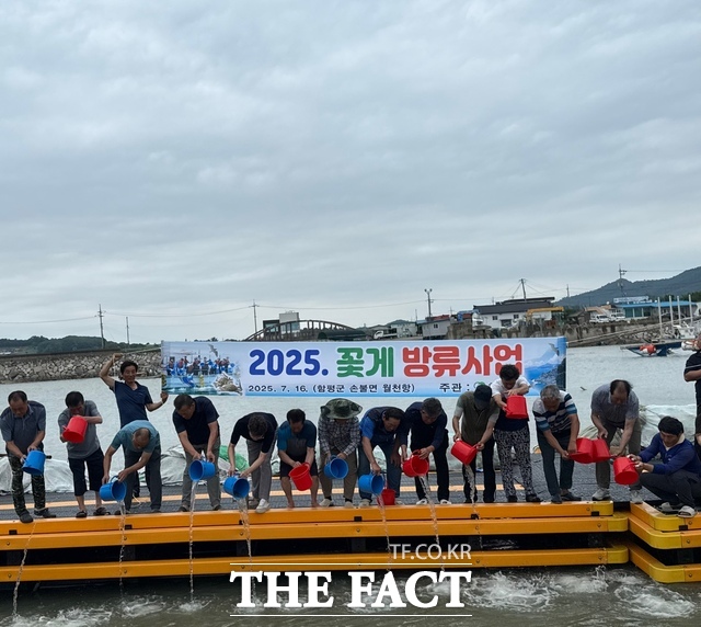 함평군이 함평만 연안 해역에 어린 꽃게 40만 마리를 방류하고 있다. /함평군