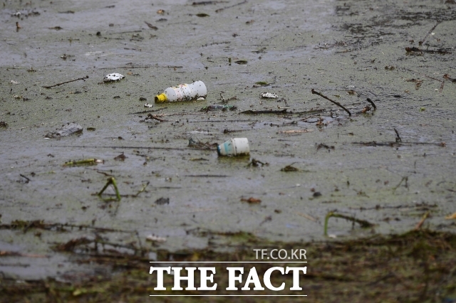 교육부는17일 오전 9시 30분 기준 11개 교육청에서 집계된 호우피해 현황을 발표했다. 사진은 지난달 18일 경기 평택 세교동 세교 지하차도가 침수돼있는 모습./장윤석 기자