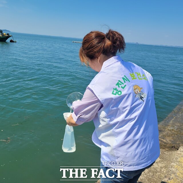 지난 8일 당진시 삽교천 방조제 갯벌에서 비브리오패혈증균이 검출됐다. /당진시