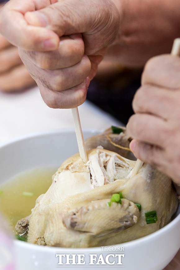 삼계탕. 사진은 기사와 관련 없음. /더팩트DB