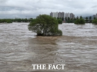  [포토] 폭우에 불어난 곡교천…거센 물살 속 꺾이지 않는 버드나무