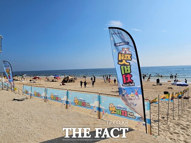 지난해 대천해수욕장 펫비치 운영 모습. /보령시