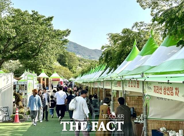 하동야생차문화축제 모습/하동군