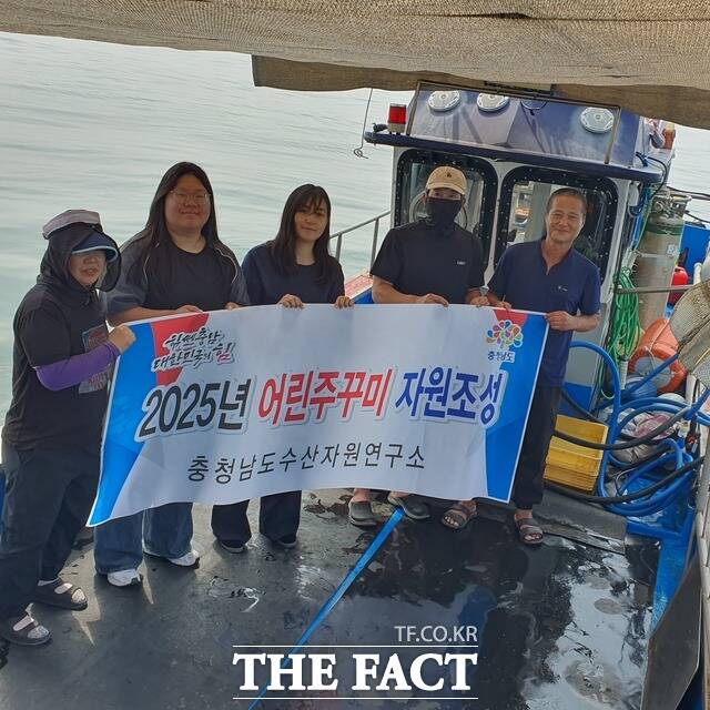 충남도 수산자원연구소가 최근 서해안 일대에서 주꾸미 40만여 마리 방류 사업을 펼쳤다. /충남도