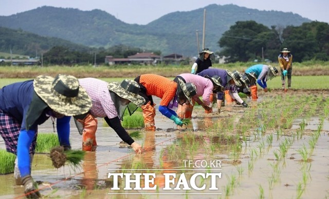 정읍농협, 정읍원예농협, 산림조합 등에서 운영 중인 로컬푸드 직매장에서는 참여 농가에게 납품 수수료로 총 12%를 부과하고 있다. 시는 수수료 중 3%를 지원하고 농협에서도 1%를 추가 부담해 농가는 8%의 수수료만 부담하면 된다. / 정읍시