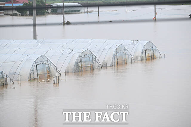지난 16일부터 이어진 집중호우로 여의도 면적(290㏊·헥타르) 84배에 달하는 면적의 농작물이 물에 잠겼다. 18일 오후 충남 예산군 삽교읍 일대 비닐하우스가 집중호우로 물에 잠겨 있는 모습. /박헌우 기자